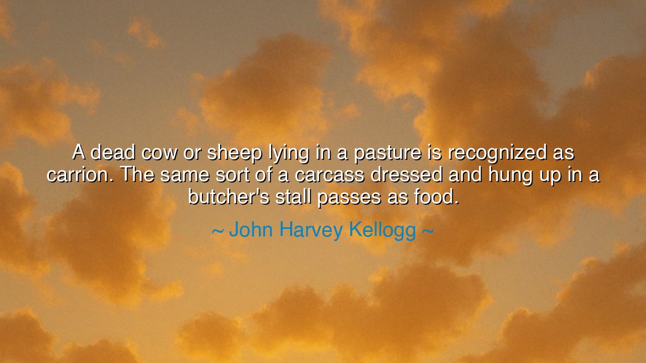 A dead cow or sheep lying in a pasture is recognized as carrion.