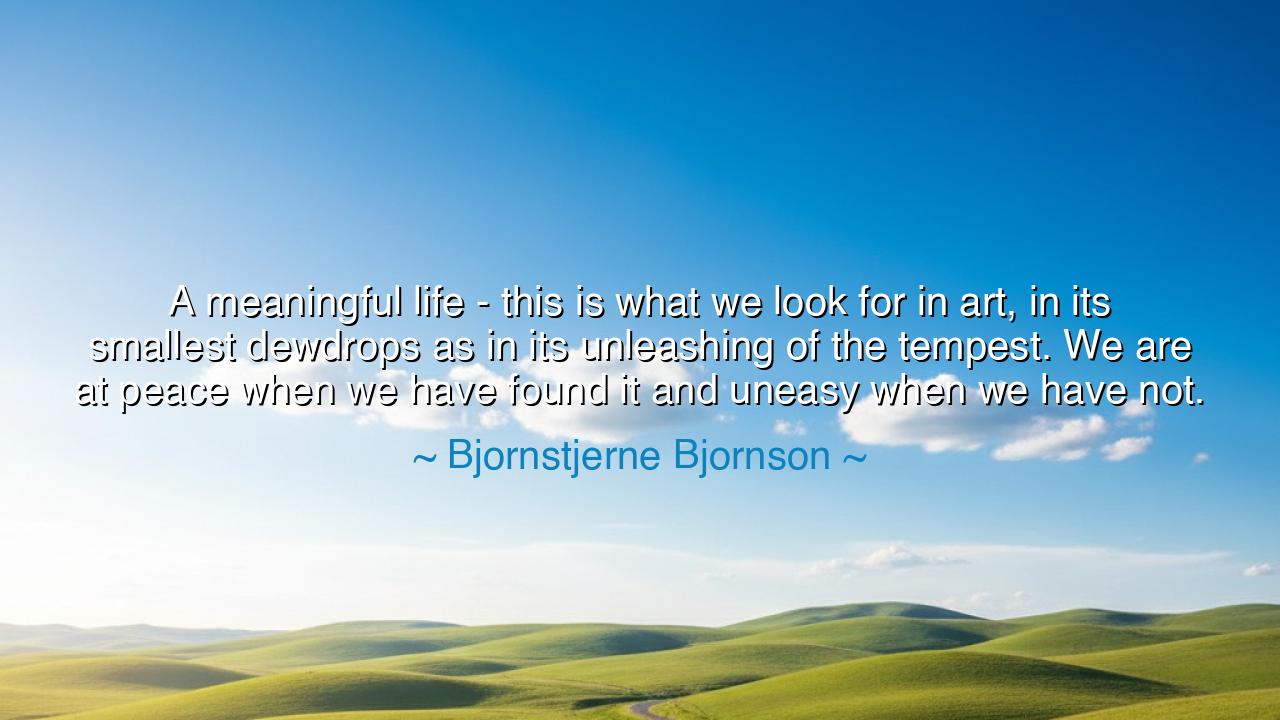 A meaningful life - this is what we look for in art, in its