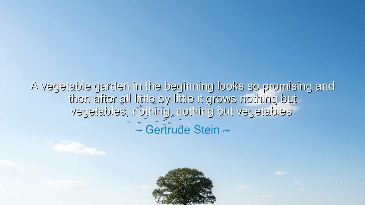 A vegetable garden in the beginning looks so promising and then