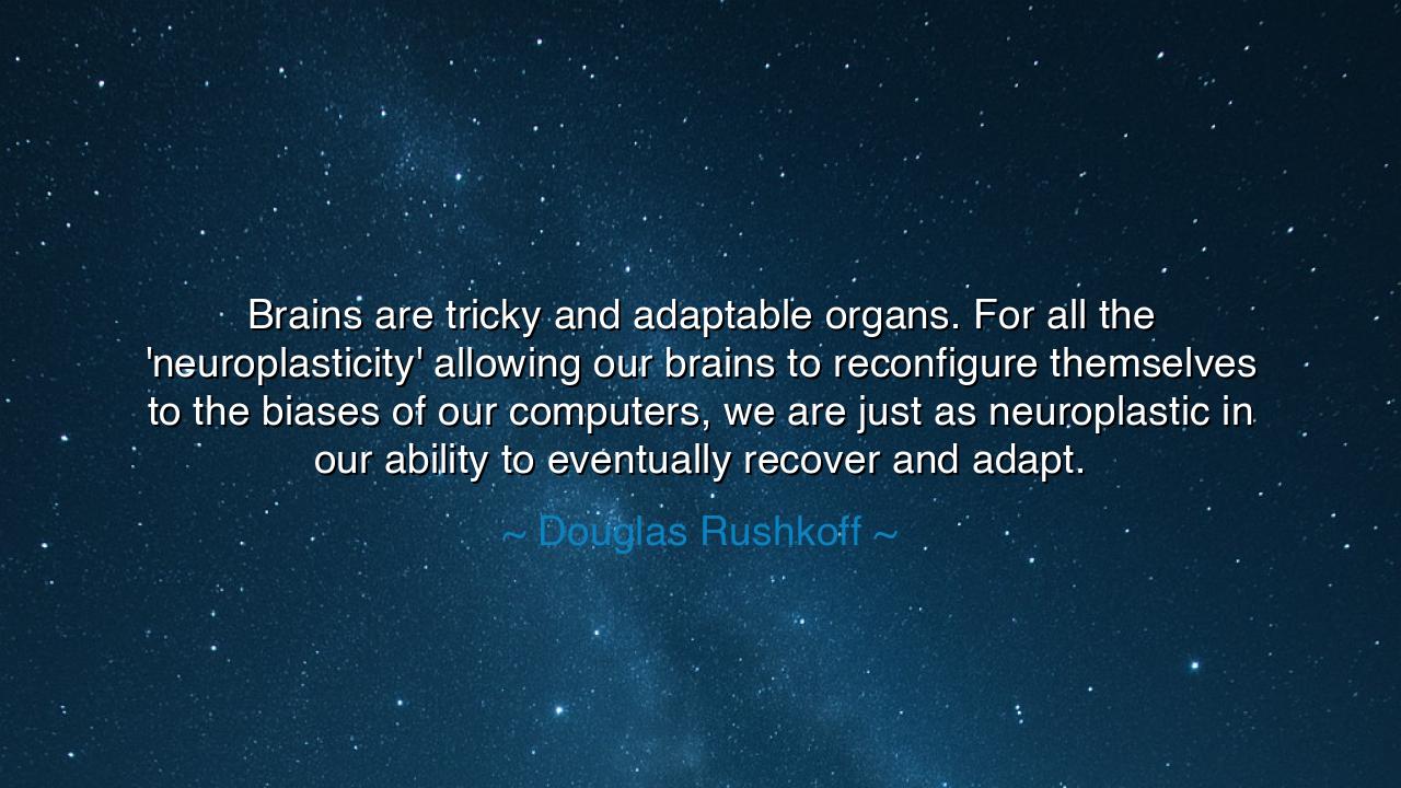 Brains are tricky and adaptable organs. For all the