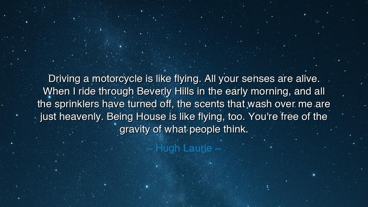 Driving a motorcycle is like flying. All your senses are alive.