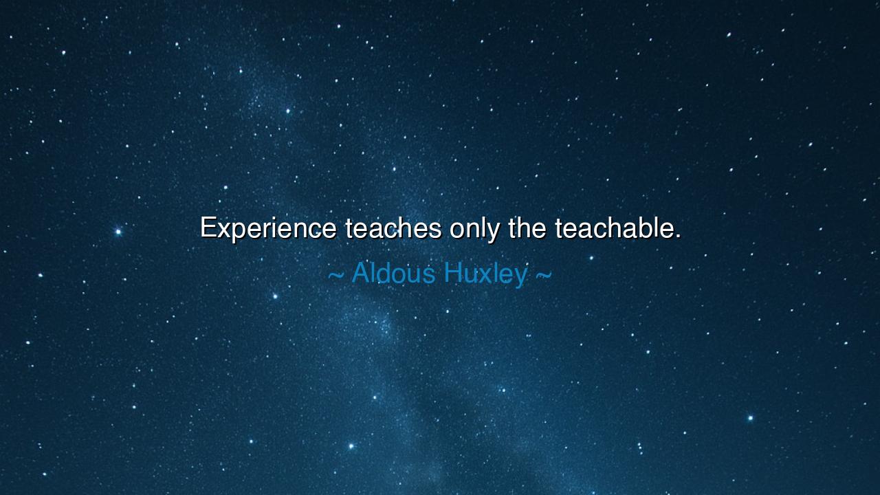Experience teaches only the teachable.