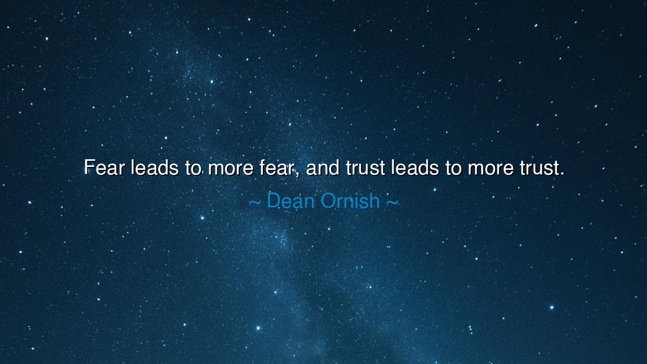 Fear leads to more fear, and trust leads to more trust.