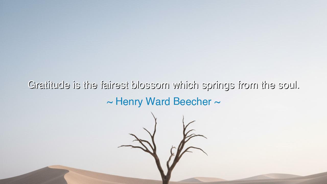 Gratitude is the fairest blossom which springs from the soul.