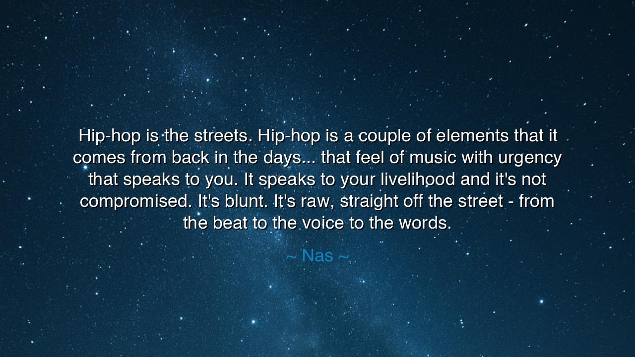 Hip-hop is the streets. Hip-hop is a couple of elements that it