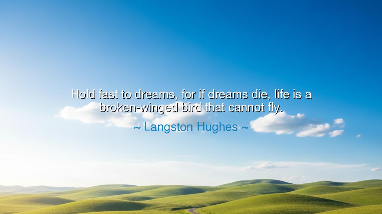 Hold fast to dreams, for if dreams die, life is a broken-winged