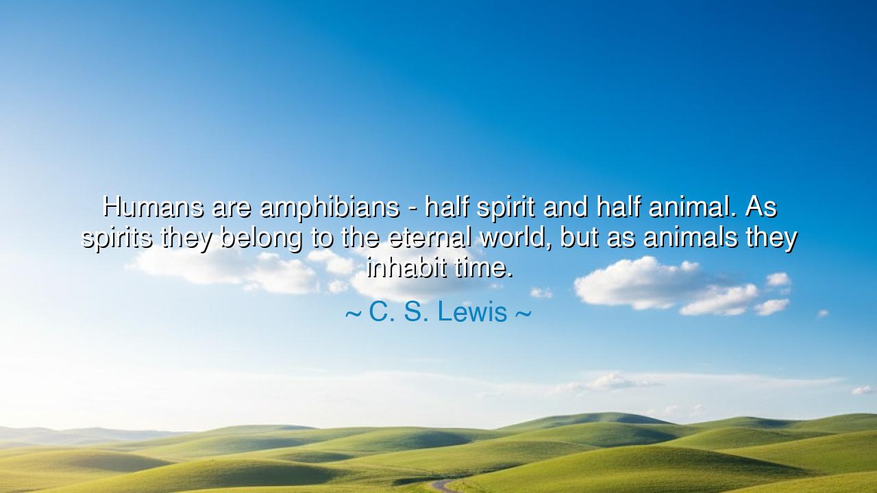 Humans are amphibians - half spirit and half animal. As spirits