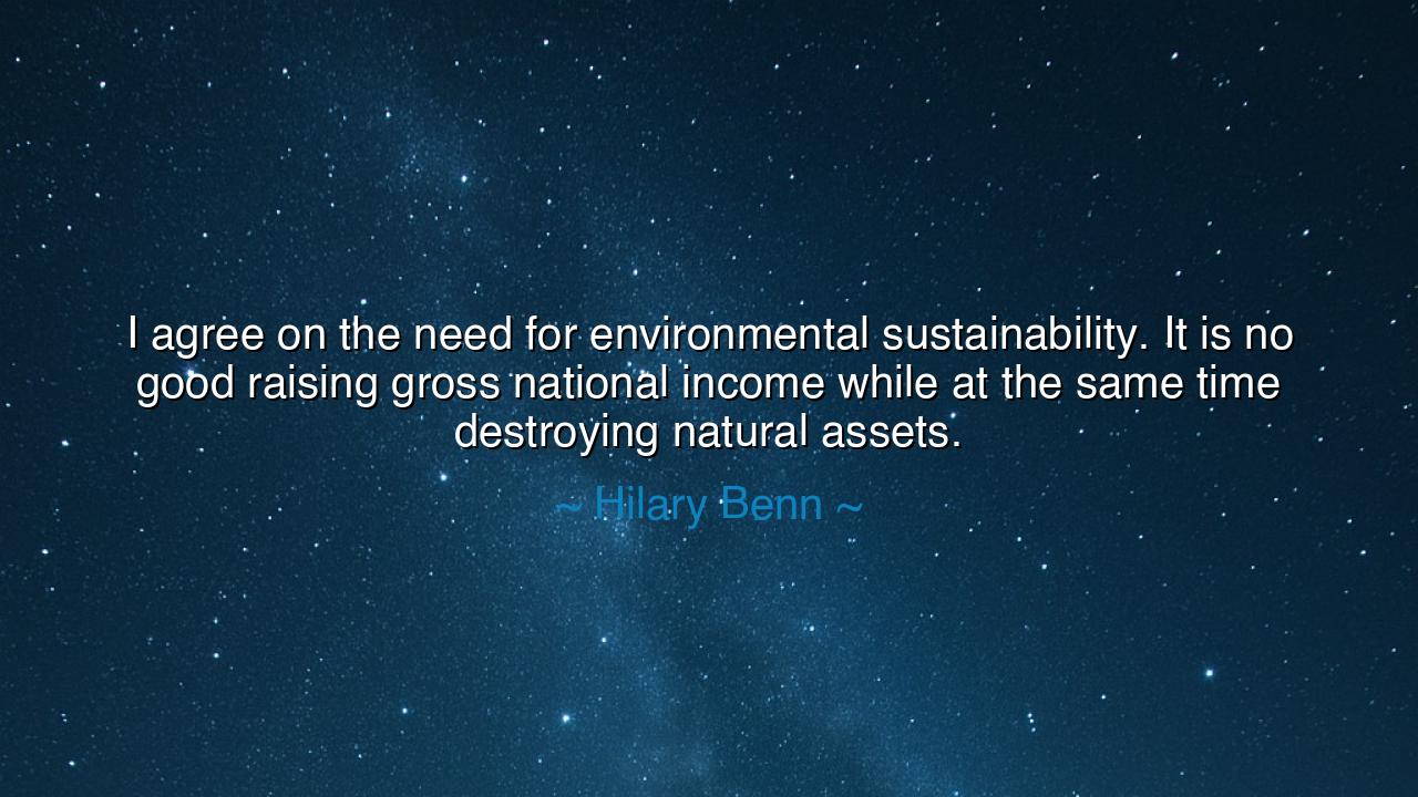 I agree on the need for environmental sustainability. It is no