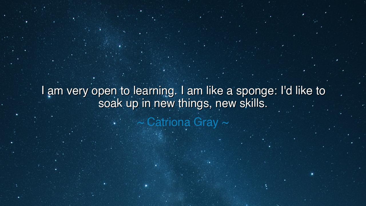 I am very open to learning. I am like a sponge: I'd like to soak