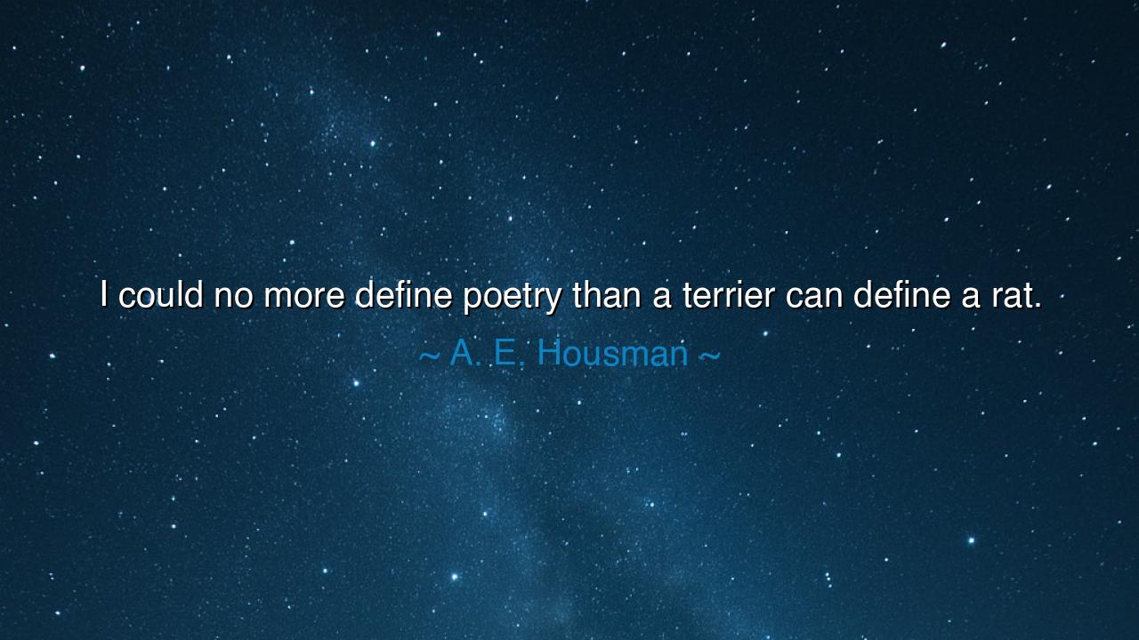 I could no more define poetry than a terrier can define a rat.
