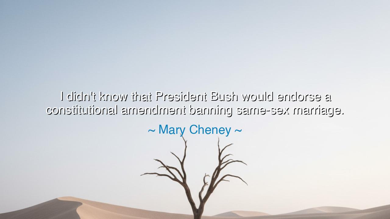 I didn't know that President Bush would endorse a constitutional