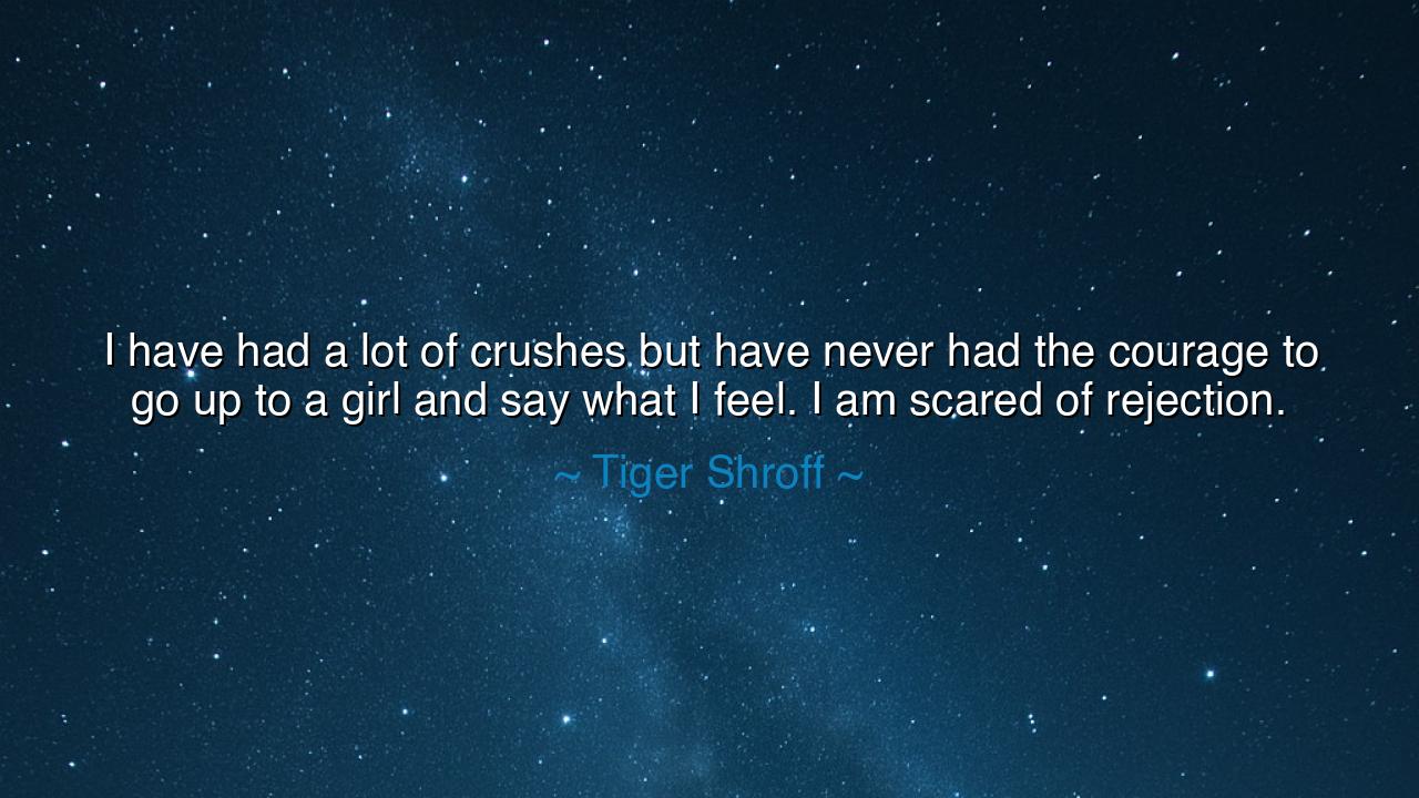 I have had a lot of crushes but have never had the courage to go