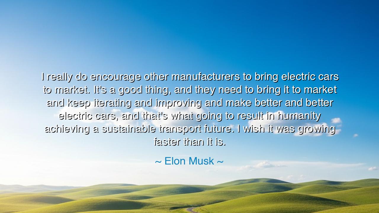 I really do encourage other manufacturers to bring electric cars