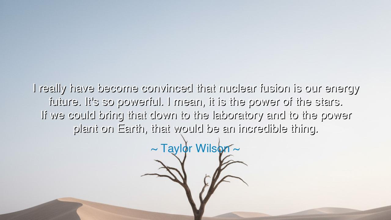 I really have become convinced that nuclear fusion is our energy