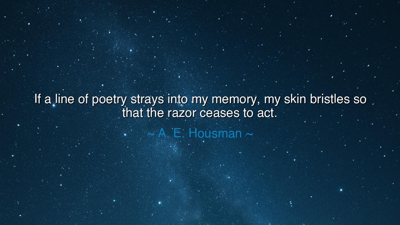 If a line of poetry strays into my memory, my skin bristles so