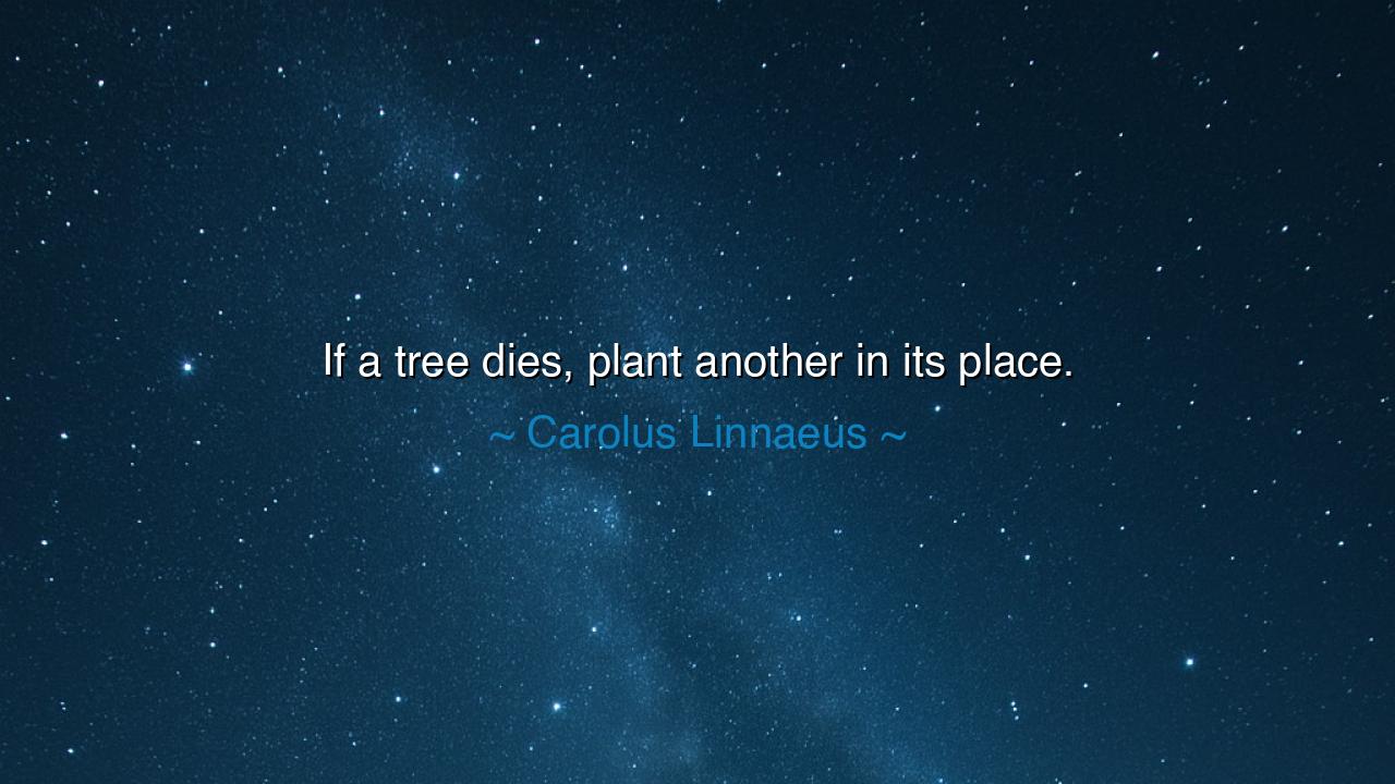 If a tree dies, plant another in its place.
