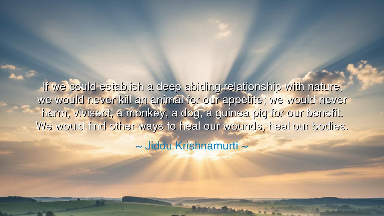 If we could establish a deep abiding relationship with nature