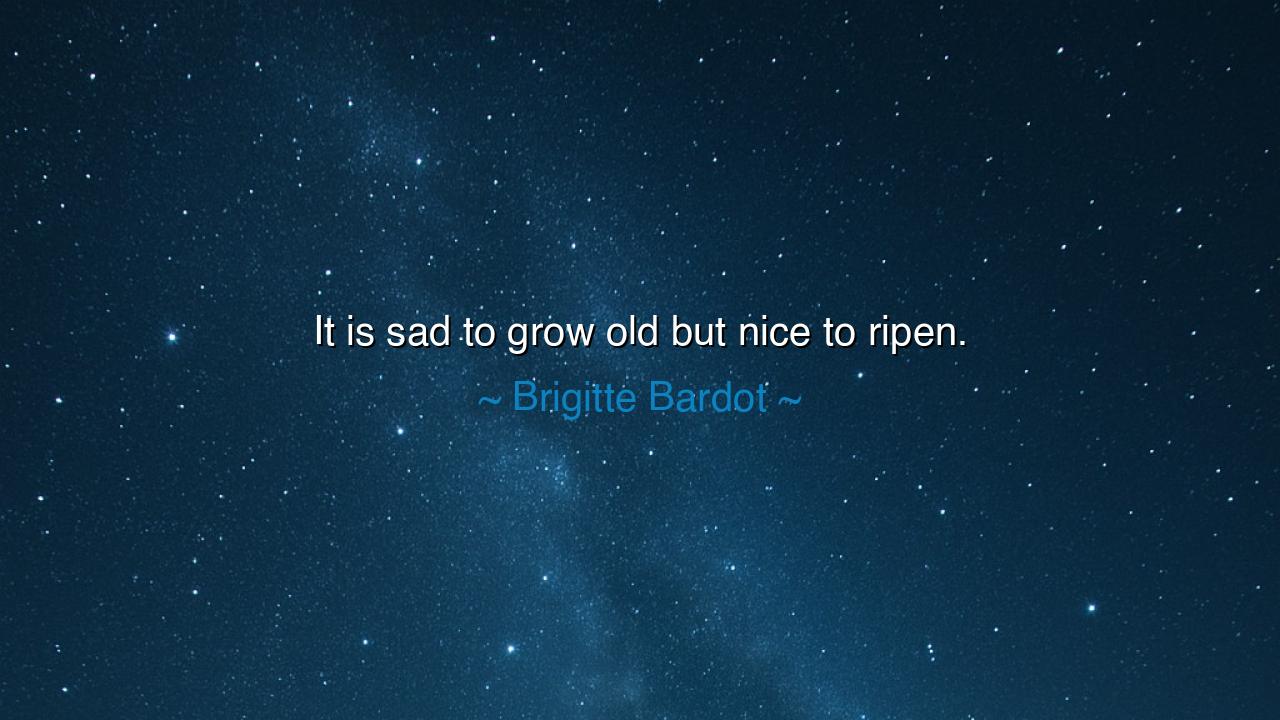 It is sad to grow old but nice to ripen.