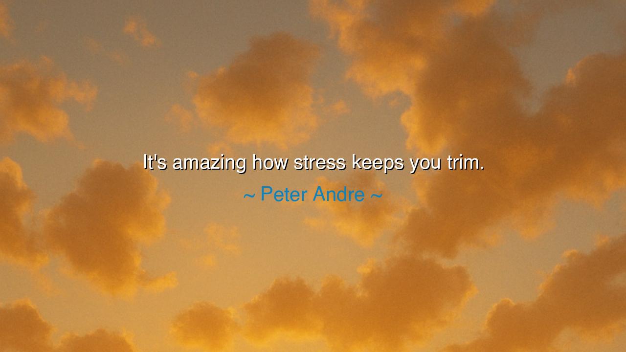 It's amazing how stress keeps you trim.