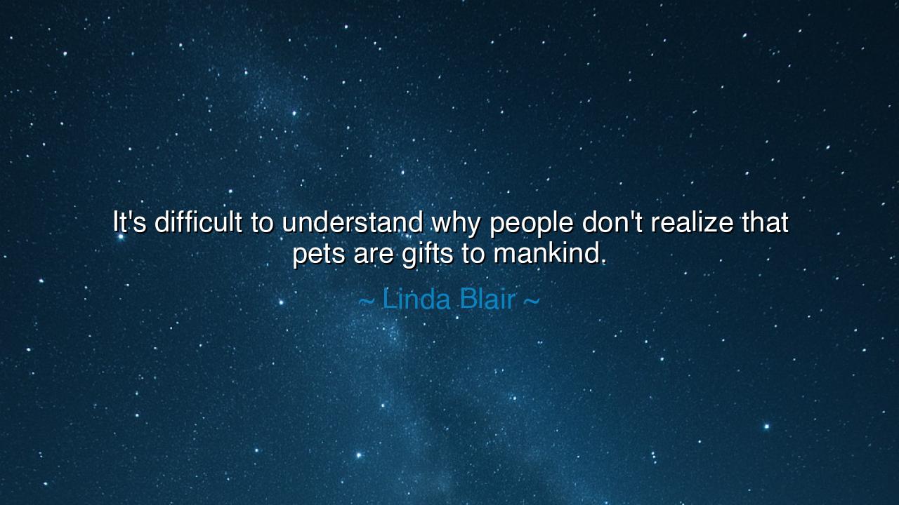 It's difficult to understand why people don't realize that pets