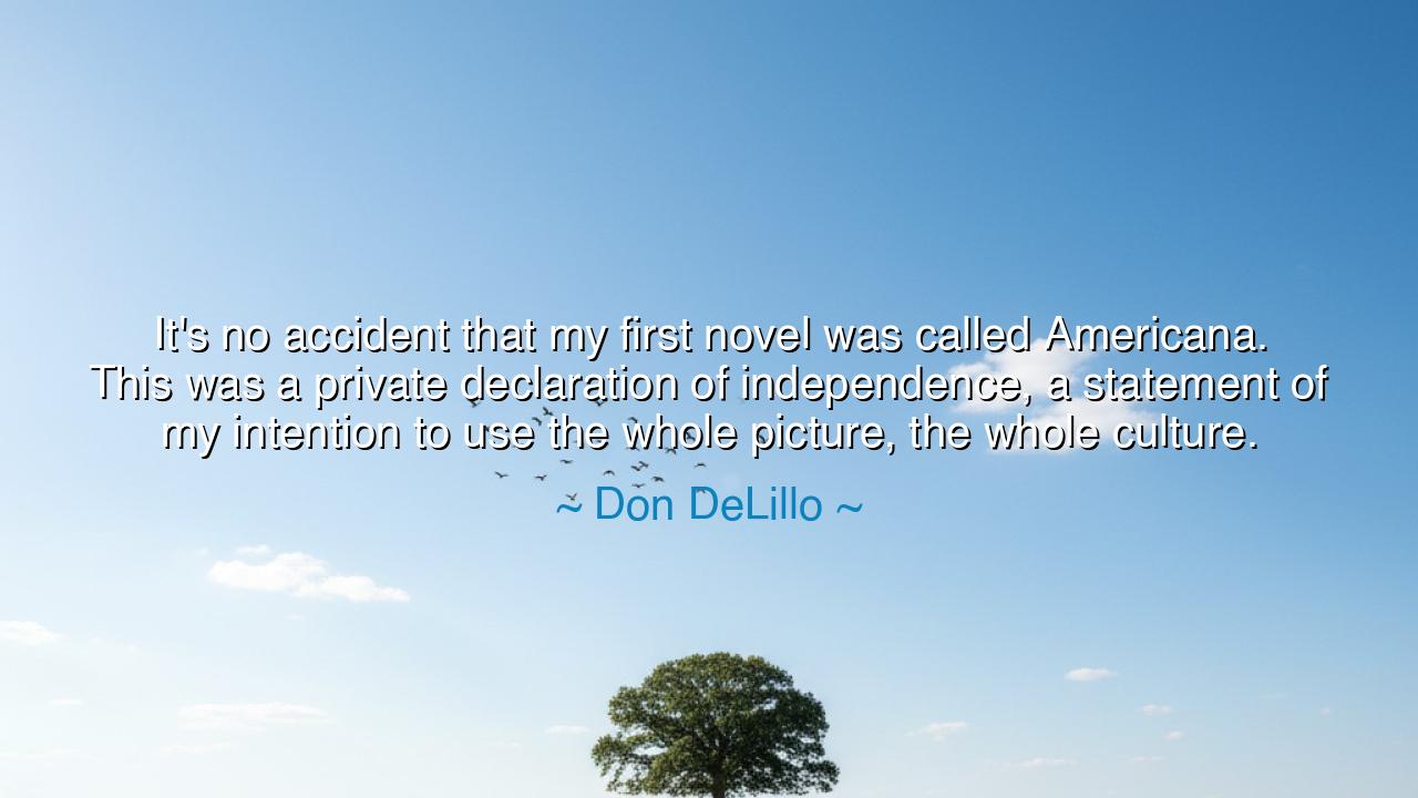 It's no accident that my first novel was called Americana. This