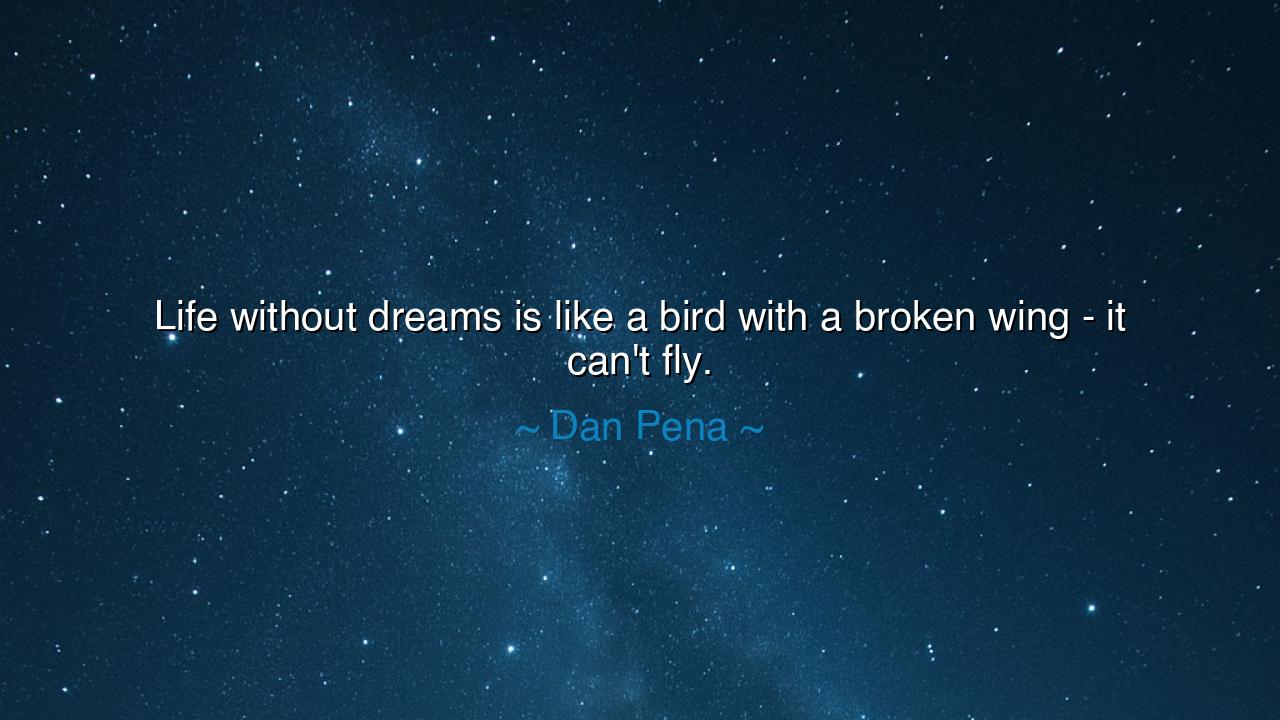 Life without dreams is like a bird with a broken wing - it can't