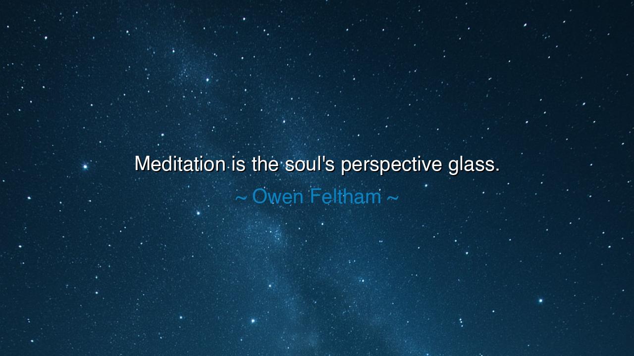 Meditation is the soul's perspective glass.