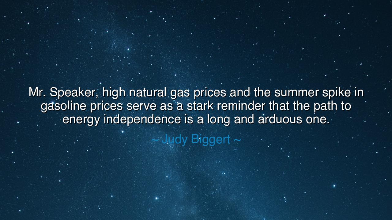Mr. Speaker, high natural gas prices and the summer spike in