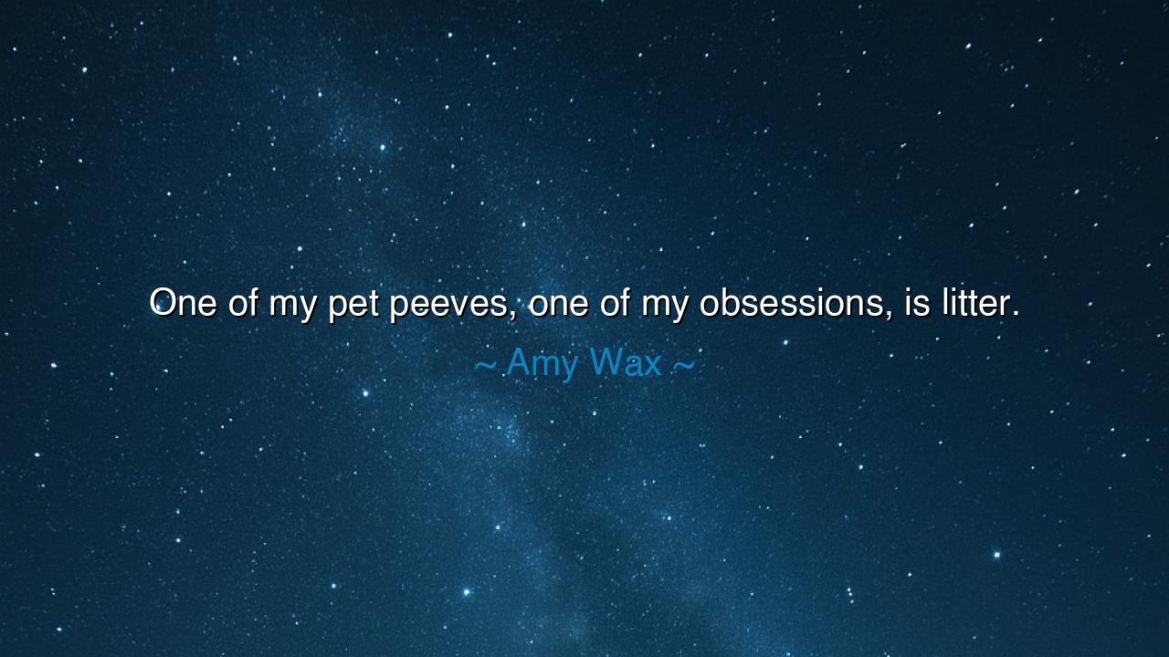 One of my pet peeves, one of my obsessions, is litter.
