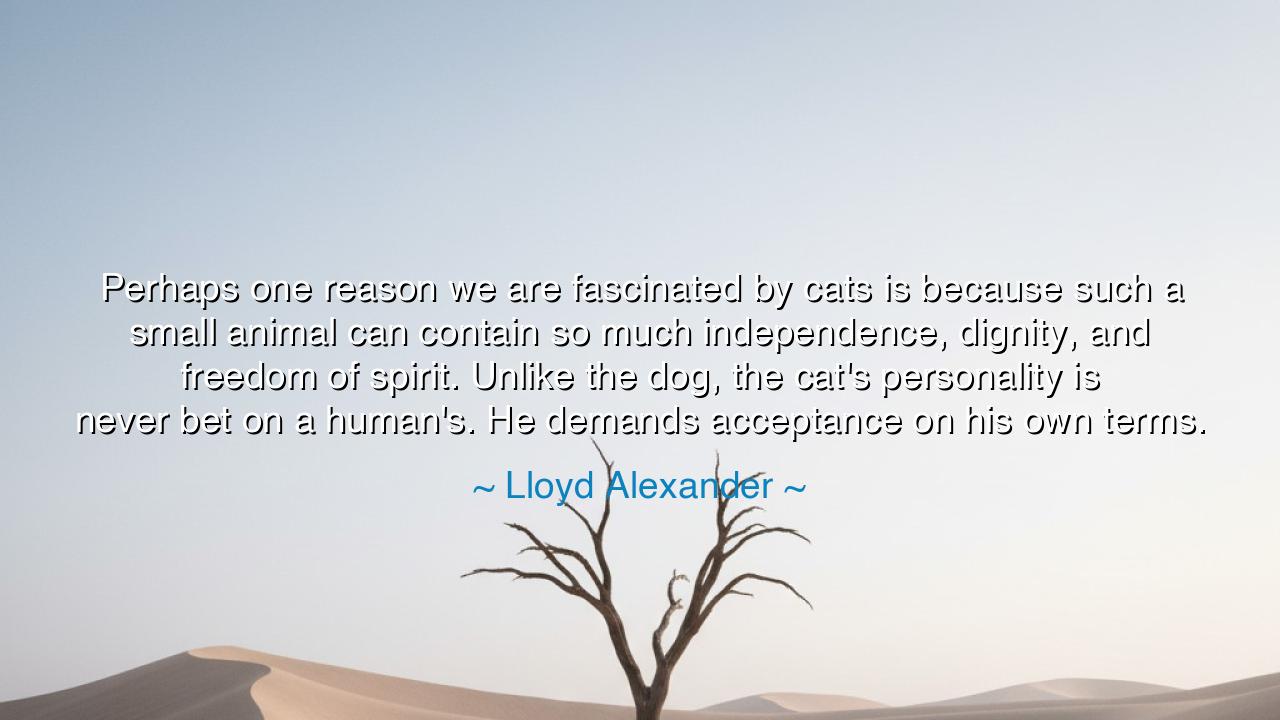 Perhaps one reason we are fascinated by cats is because such a