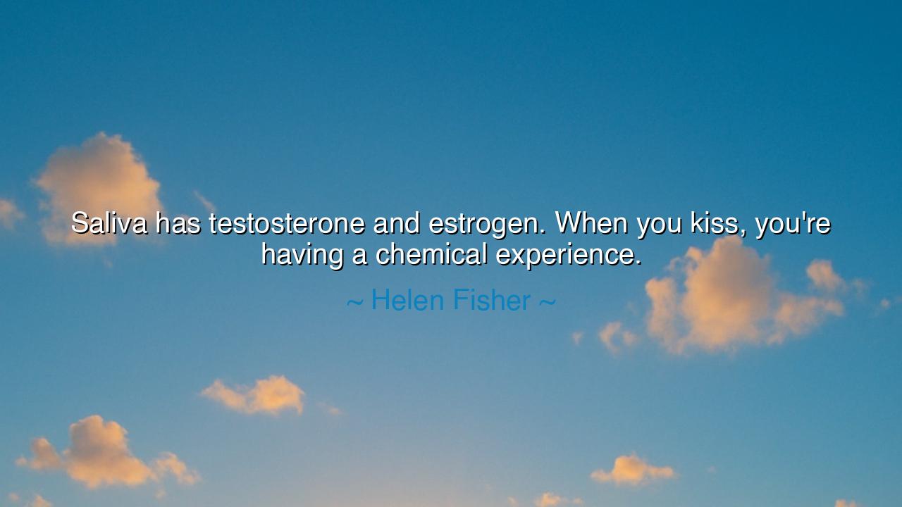 Saliva has testosterone and estrogen. When you kiss, you're