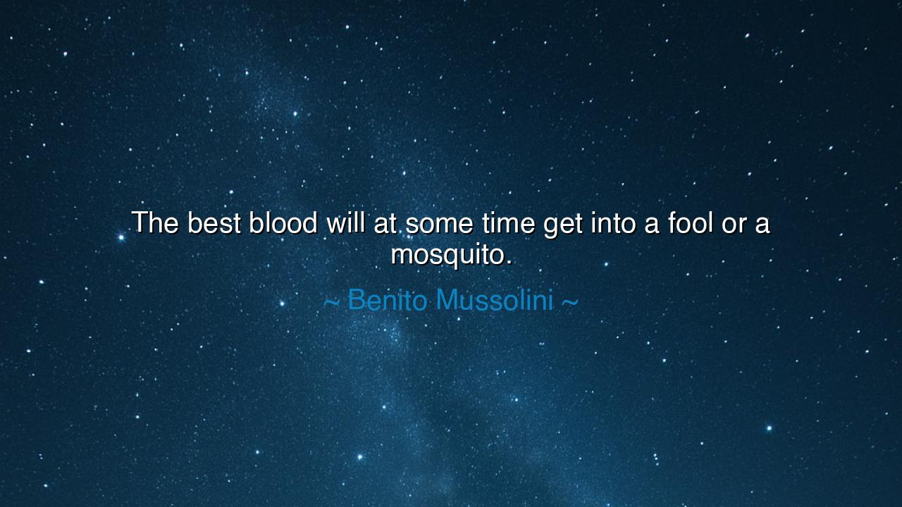 The best blood will at some time get into a fool or a mosquito.