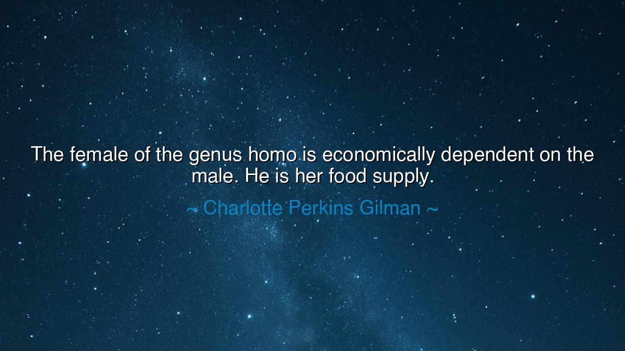 The female of the genus homo is economically dependent on the