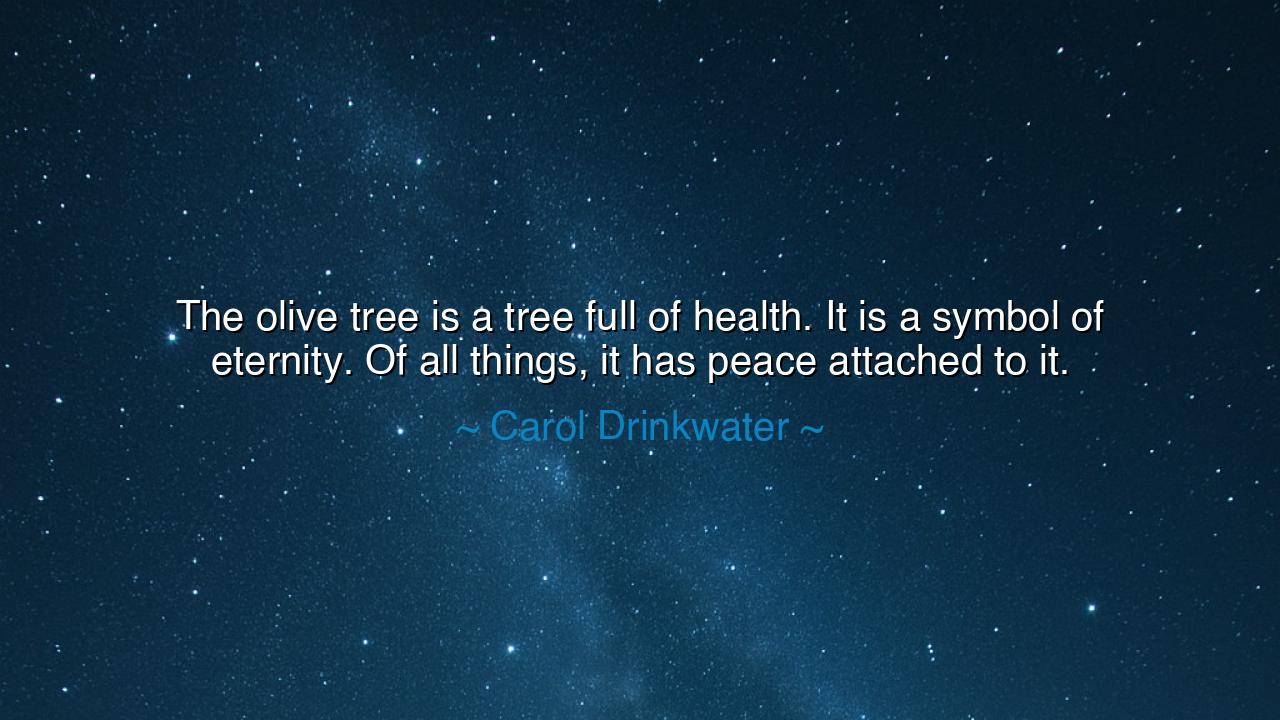 The olive tree is a tree full of health. It is a symbol of