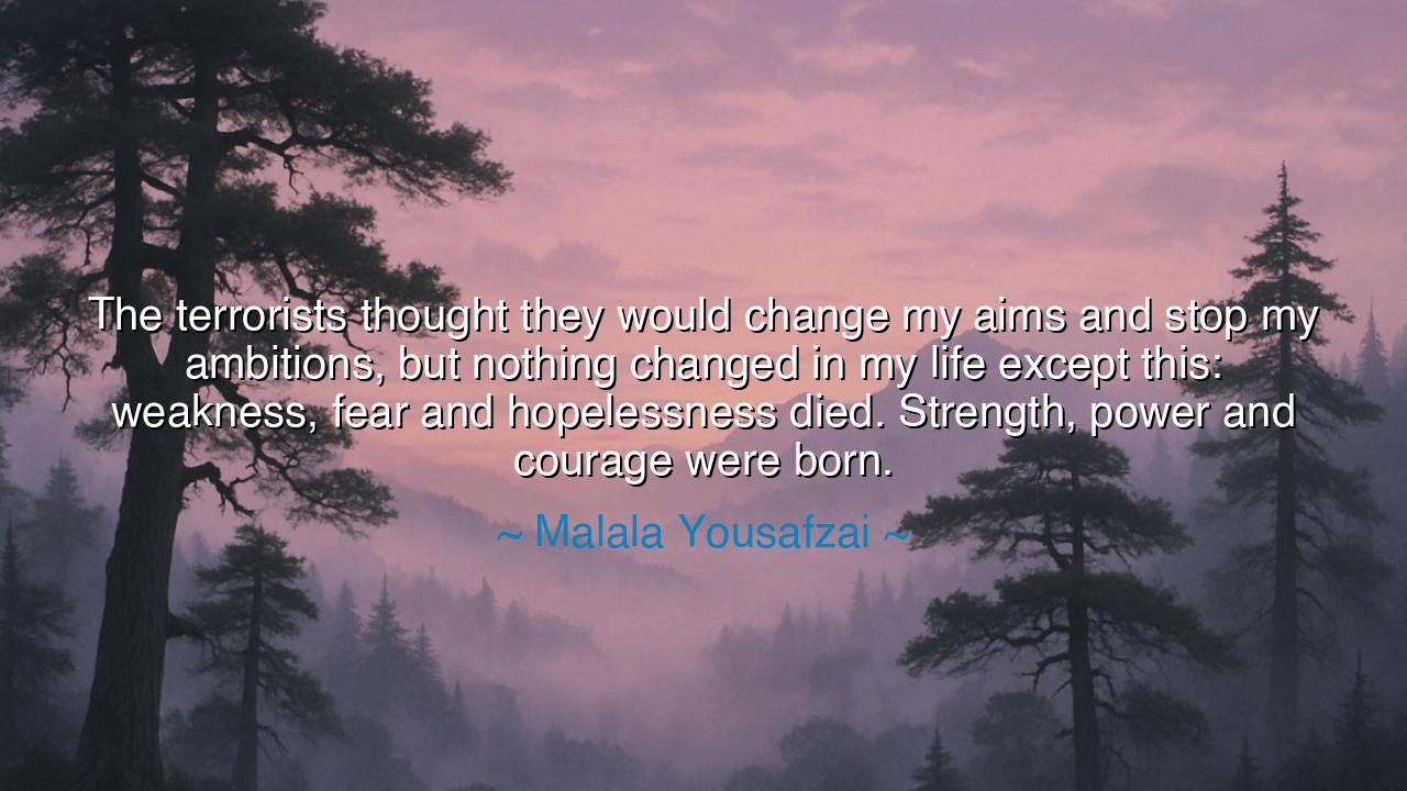 The terrorists thought they would change my aims and stop my