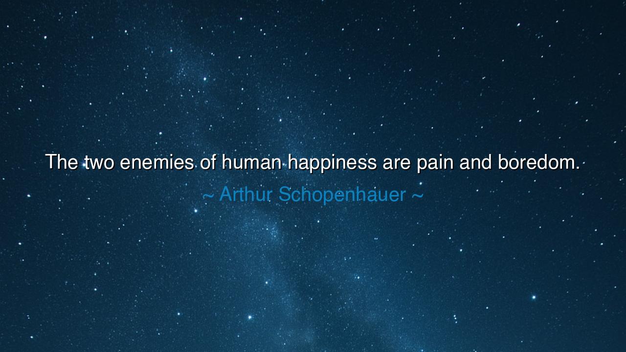 The two enemies of human happiness are pain and boredom.