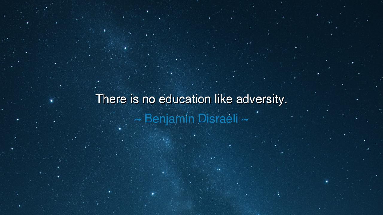 There is no education like adversity.