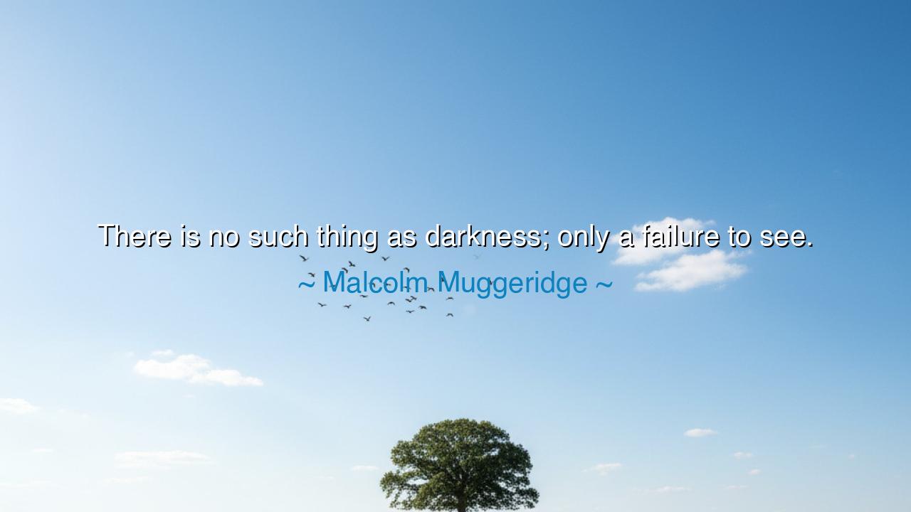 There is no such thing as darkness; only a failure to see.