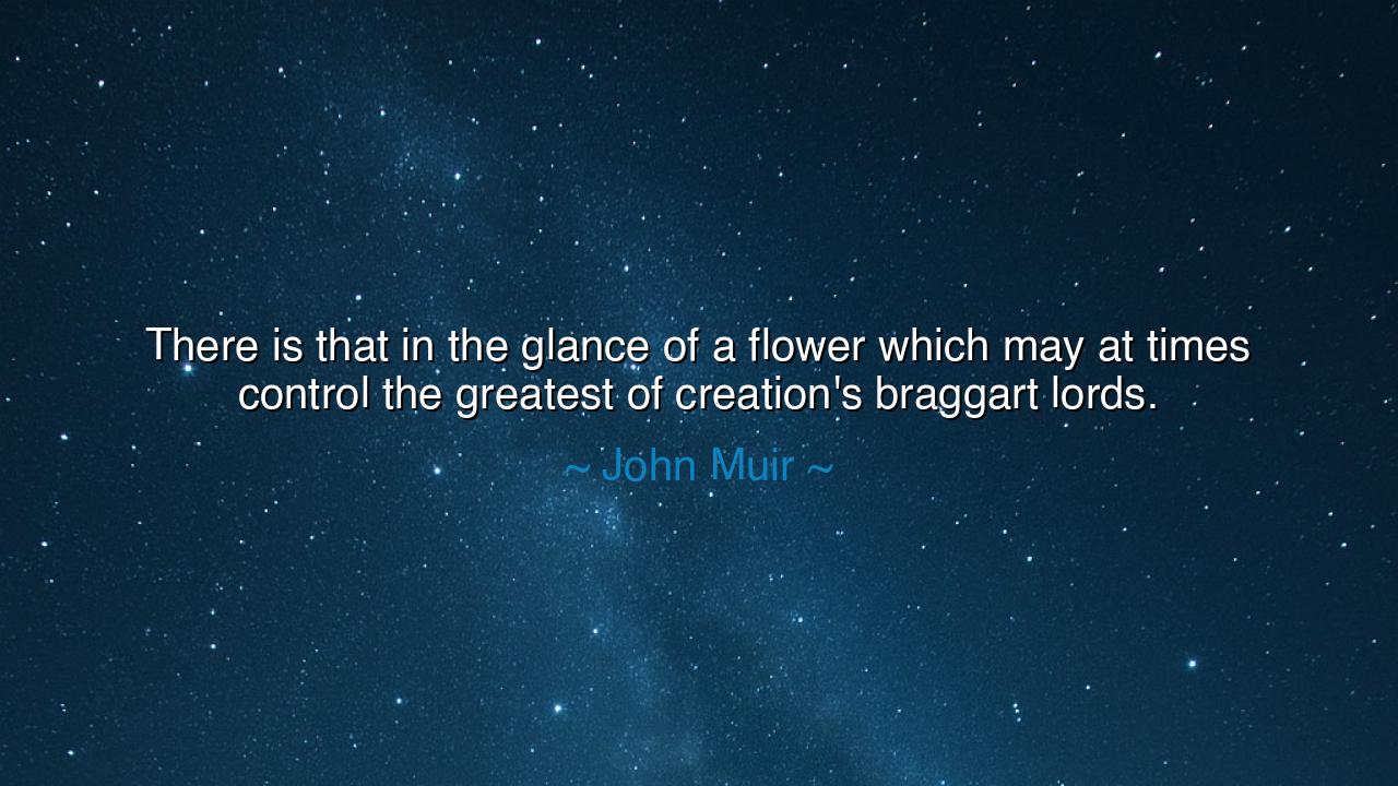 There is that in the glance of a flower which may at times