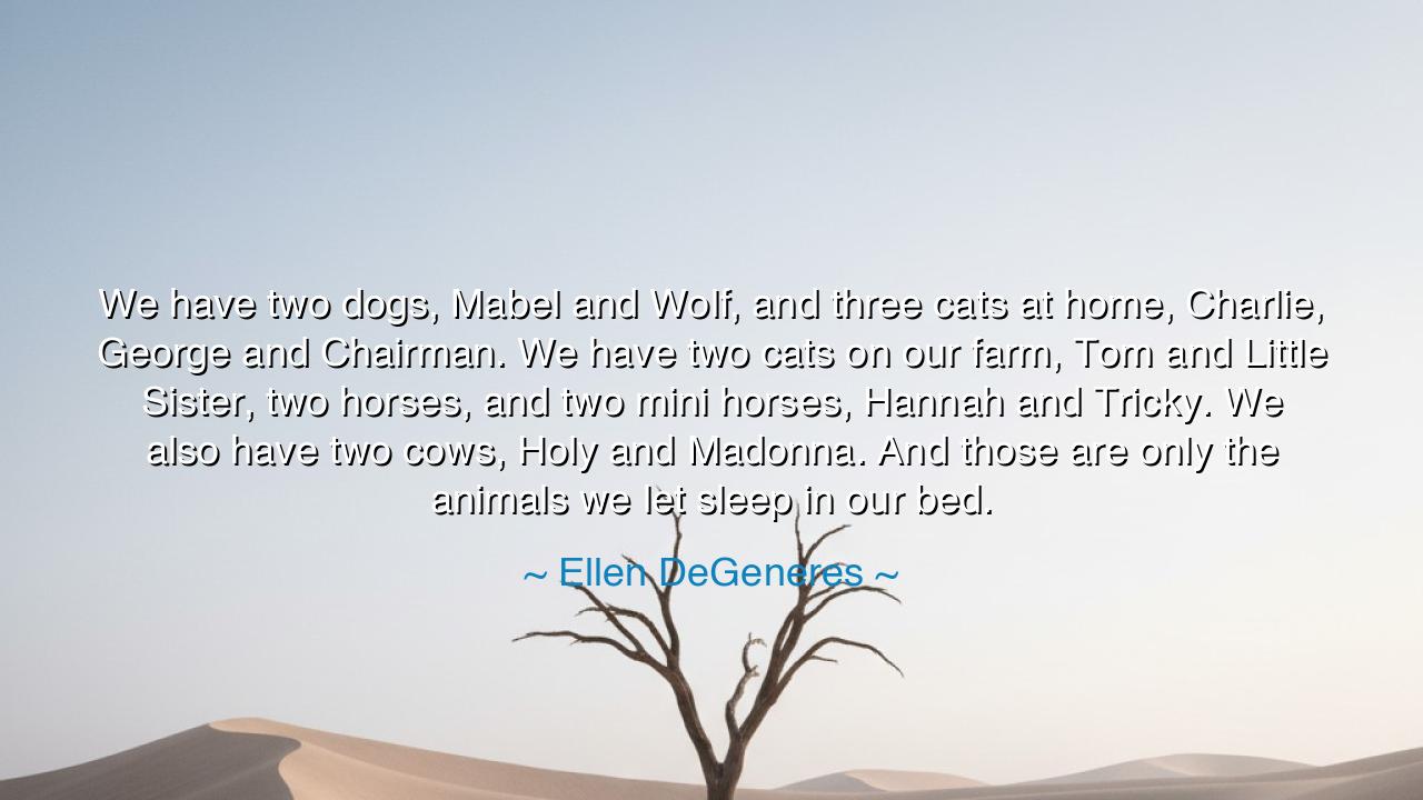 We have two dogs, Mabel and Wolf, and three cats at home
