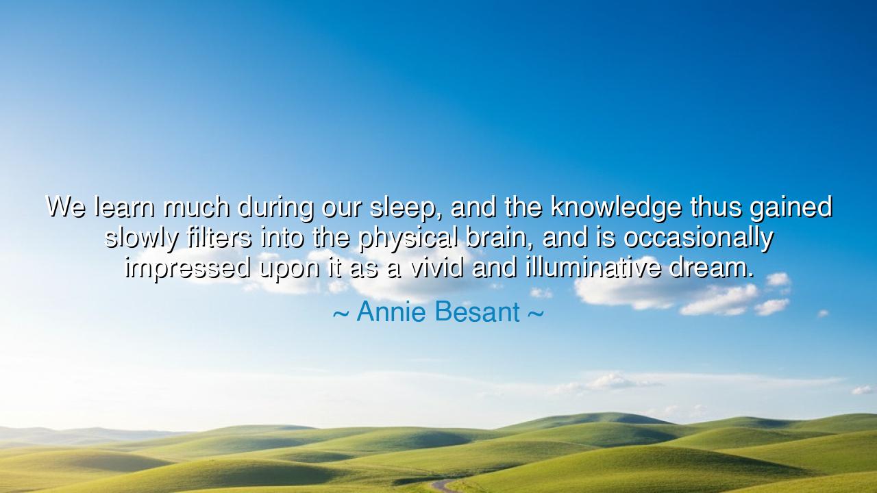 We learn much during our sleep, and the knowledge thus gained