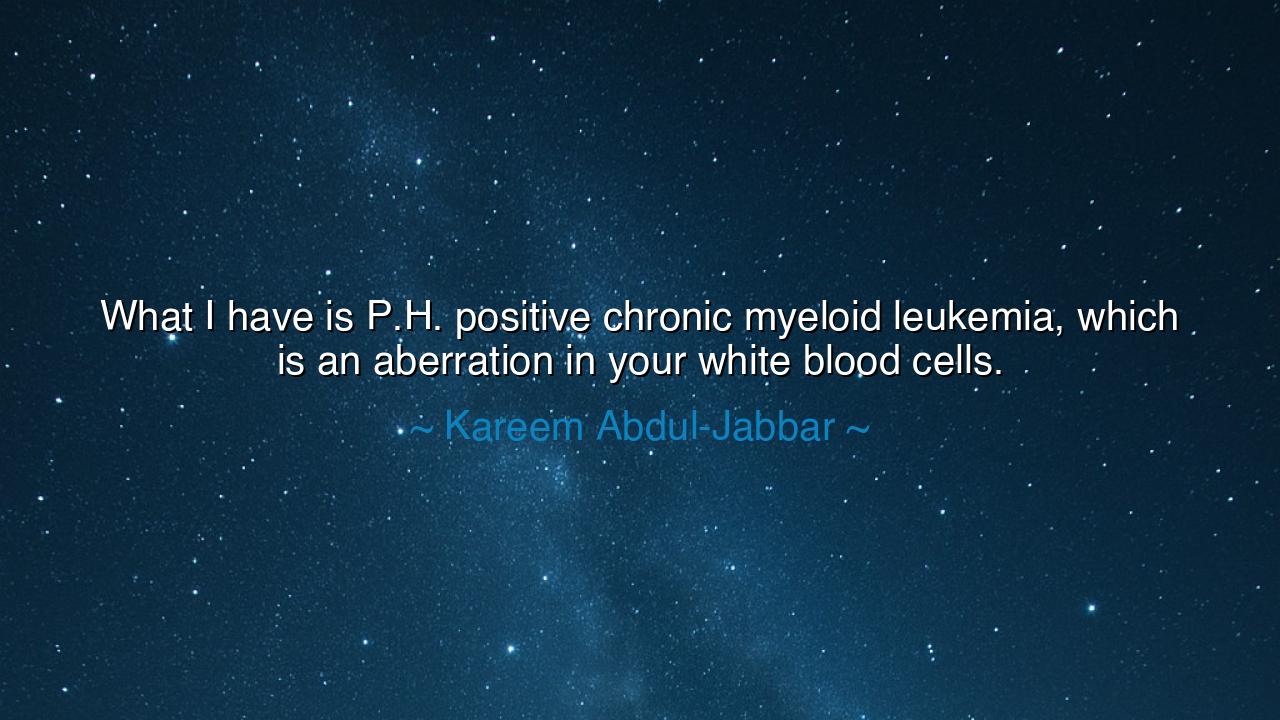 What I have is P.H. positive chronic myeloid leukemia, which is