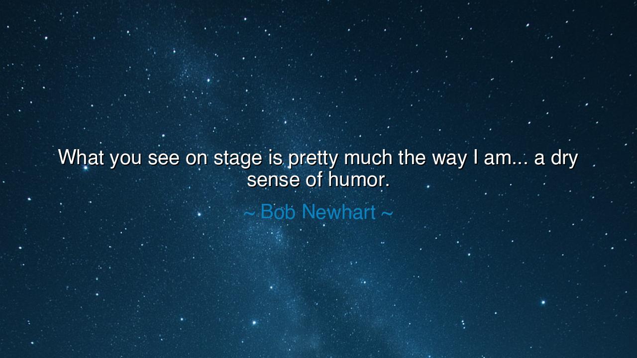 What you see on stage is pretty much the way I am... a dry sense