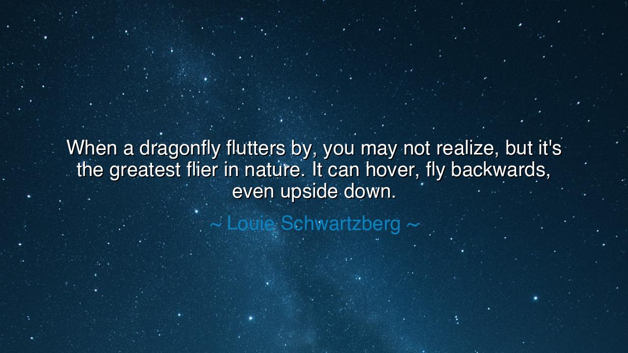 When a dragonfly flutters by, you may not realize, but it's the