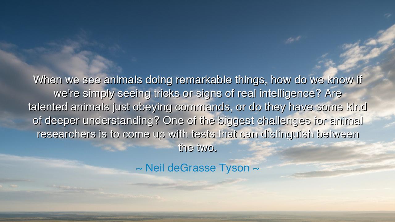 When we see animals doing remarkable things, how do we know if