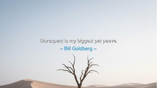 Disrespect is my biggest pet peeve.