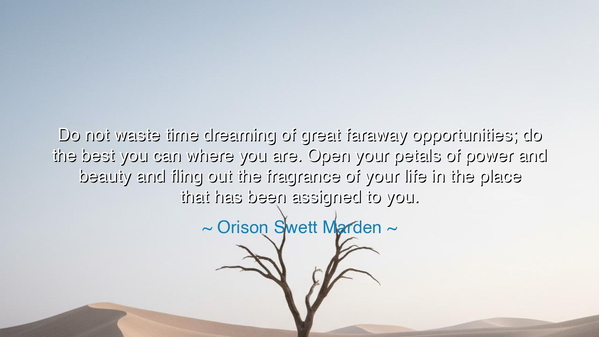 Do not waste time dreaming of great faraway opportunities; do the