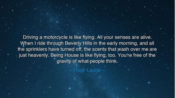 Driving a motorcycle is like flying. All your senses are alive.