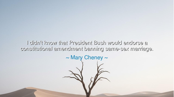 I didn't know that President Bush would endorse a constitutional