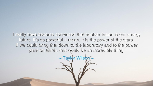 I really have become convinced that nuclear fusion is our energy